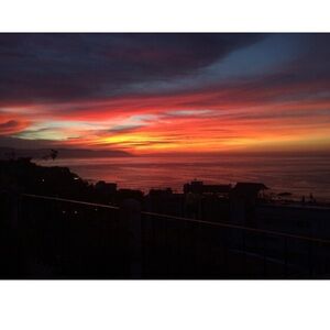 Meet your Posher, Sasha